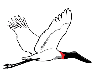 TV Pantanal MS